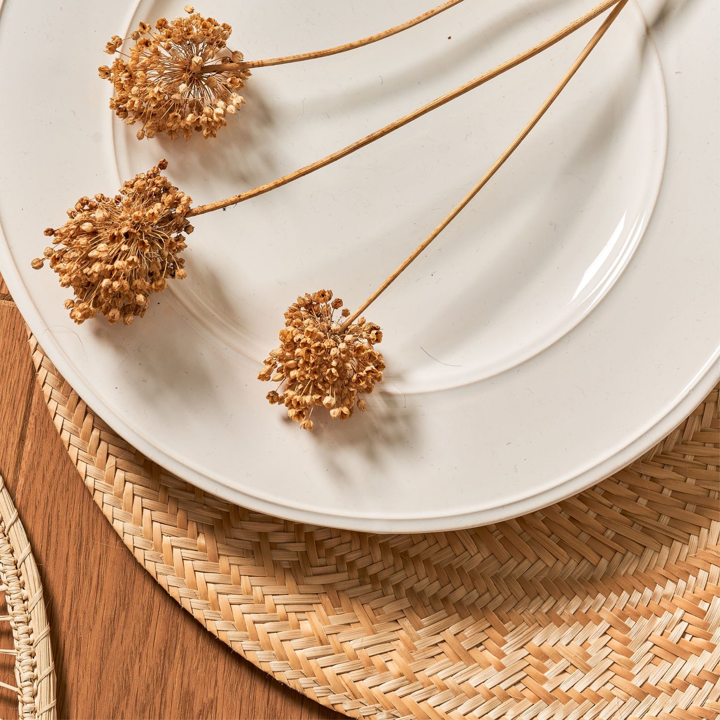Set x 4 Natural Straw Round Placemats Placemats WASHEIN