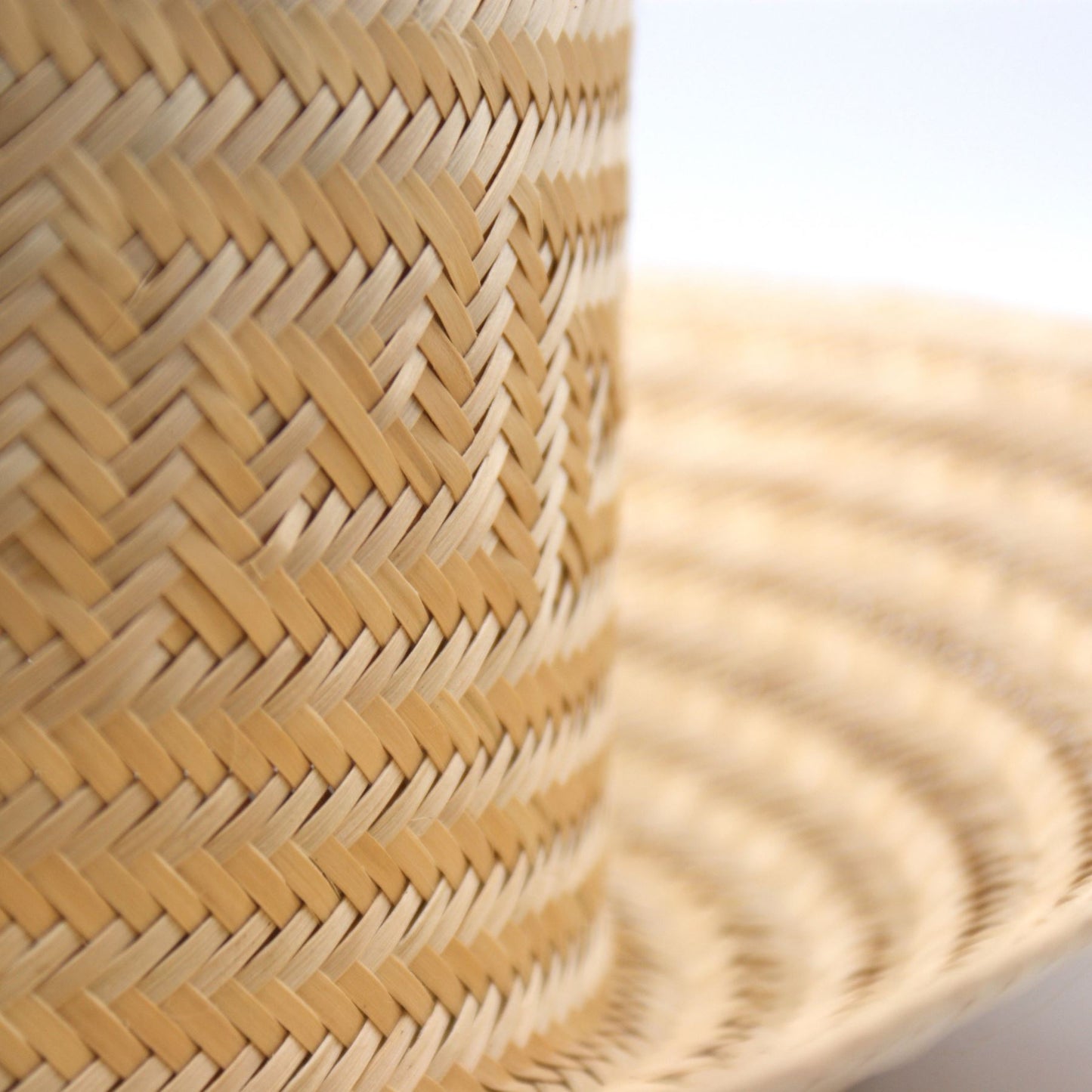 Arena Natural Short Brim Straw Hat Hat WASHEIN